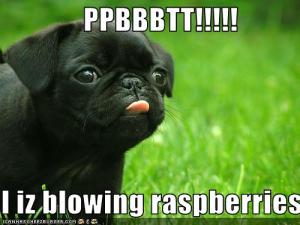 blowing-raspberries